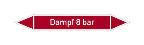 Schilder Klar Rohrleitungskennzeichen Dampf 8 bar, 100x15 mm Folie selbstklebend, 101491/60