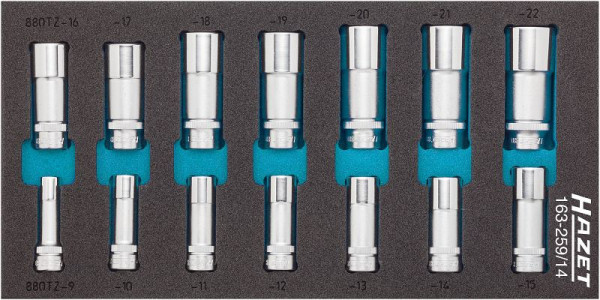 Hazet Steckschlüsseleinsatz Satz, Vierkant hohl 10 mm (3/8 Zoll), Außen-Doppel-Sechskant-Tractionsprofil, 9 - 22, Anzahl Werkzeuge: 14, 163-259/14