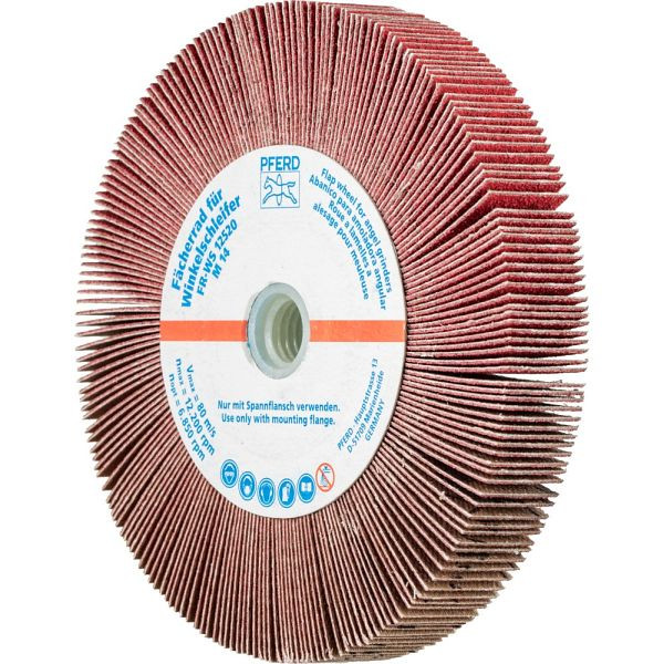 Pferd Fächerrad für Winkelschleifer FR WS 12520 M14 CO-COOL 60, VE: 2 Stück, 44782606