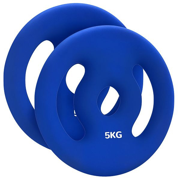 SPORTNOW 2 x 5 kg Gewichtsplatten mit praktischen Handgriffen, Gewichts-Set für Home-Gym, Fitnessstudio, Stärke-Training, Blau, A91-370V02BU