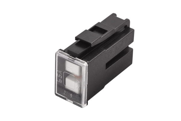 HELLA Sicherung, PAL-Blocksicherung Serie1, 65A, schwarz, Stecker: Female, 8JS 740 026-711