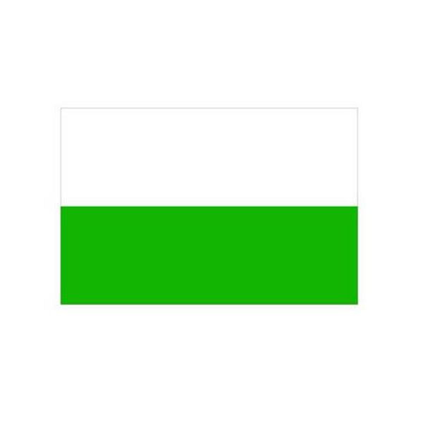 Stein HGS Landesflagge Sachsen (ohne Wappen), 300 x 120 cm (Hochformat), mit Kunststoff-Karabiner, FlagTop 160 g/m², für Fahnenmasten 7 m, ohne Hohlsaum, 26541