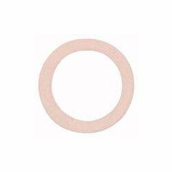 Riegler Dichtring aus Polyamid, Temperatur bis max. 80 C, VE: 100 Stück, 114088, 4047322066655