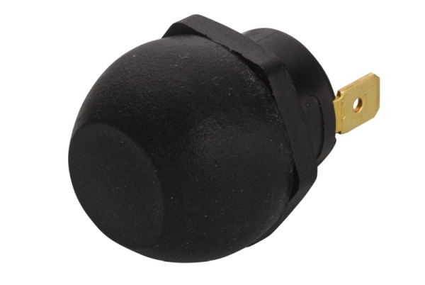 HELLA Zünd-/Startschalter, Druckbetätigung, Anschlussanzahl: 2, geschraubt, Schließer, Bohrung-Ø: 22.5mm, Blechdicke: 5mm, 6JF 001 571-161