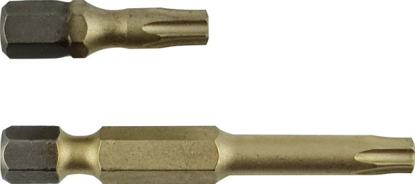 Projahn 1/4" STAR Bit Länge 25mm TX20 ZrN 10er Pack, 1780320-10