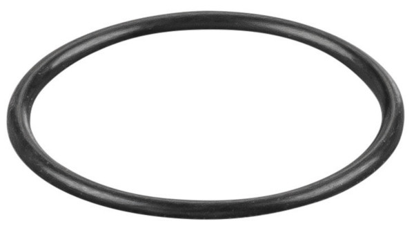REMS O-Ring, Maße (LxBxH): 30 x 30 x 2 mm, 060284, 4039976006330