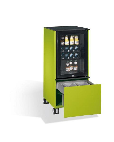 C+P Kühlschrank-Caddy Asisto, H1157xB500xT600mm, Farbe: Viridingrün / Viridingrün, Griffleiste, 54780-010 S10020