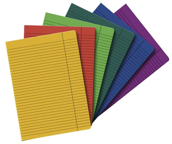 LANDRE Diarie (Kladde), Größe: A4, Folio, geheftet, liniert/Rand, 40 Blatt, 100050583
