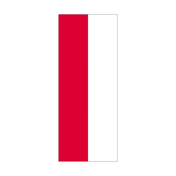 Stein HGS Landesflagge Hessen (ohne Wappen), 300x120cm, FlagTop 110 g/m², für Fahnenmasten 7m mit Hohlsaum für Ø 4cm Ausleger, 26348