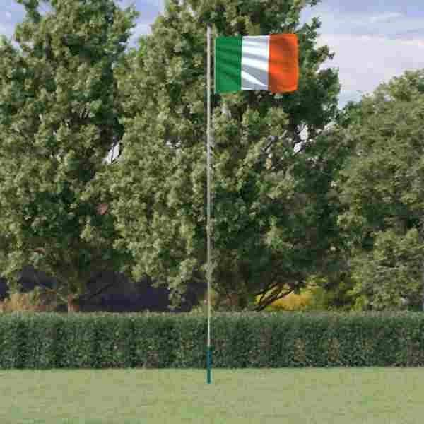 vidaXL Flagge Irlands mit Mast 6,23 m Aluminium, 3147096