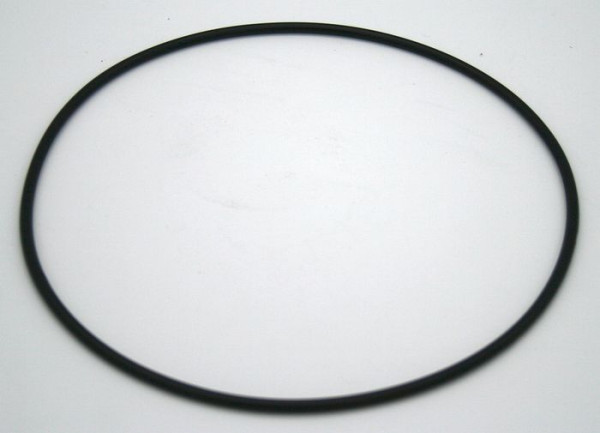 SBN Ringdichtung für Pumenkonsole HWVS Jett 1300, 99.17035.31