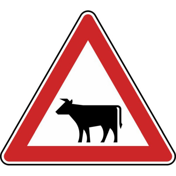 Stein HGS Viehtrieb, Aufstellung rechts Nr. 101-12, 630 mm, RA2, Flachform 2 mm, 101-12-121