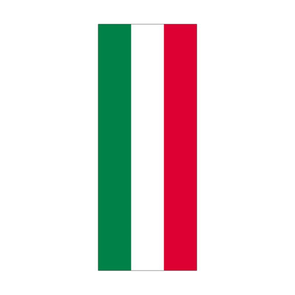 Stein HGS Landesflagge Nordrhein-Westfalen (ohne Wappen), 300 x 120 cm (Hochformat), mit Karabiner, FlagTop 110 g/m², für Fahnenmasten 7 m, mit Hohlsaum für Ø 4 cm Ausleger, 26458