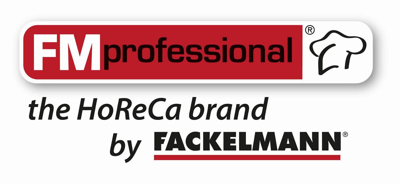 FM Professional Logo