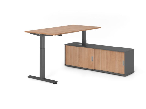 Hammerbacher Schreibtisch XMST16, 160x80cm, Platte: Nussbaum, T-Fuß Gestell Graphit, Höhe: 71 - 120 cm, Graphit / Nussbaum, VXMST16SB/N/G/G/N