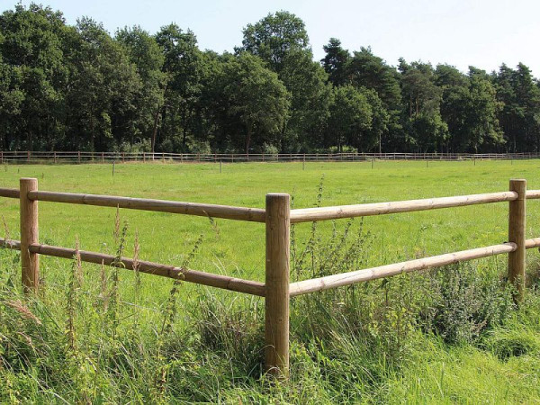 Growi Endpfosten Oxford, 2 Querriegel, 140 mm, 2000 mm lang, 10039210