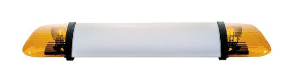 HELLA Lichtscheibe, hinten/mitte, 9EL 861 498-011, 4082300240450