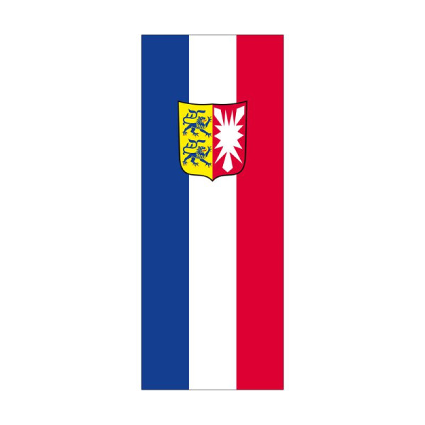Stein HGS Landesflagge Schleswig-Holstein, 400 x 150 cm (Hochformat), mit Kunststoff-Karabiner, FlagTop 110 g/m², für Fahnenmasten ab 8 m, ohne Hohlsaum, 26652
