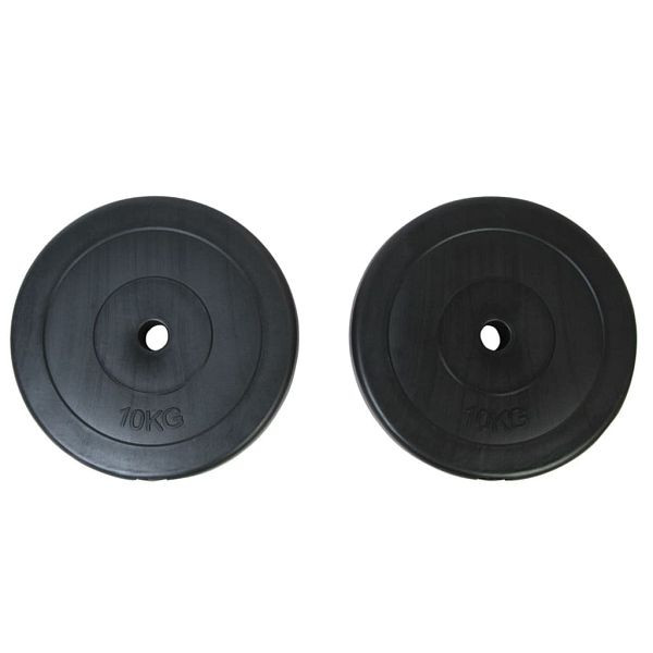 vidaXL Gewichte 2 Hantelscheiben 10kg, 90269