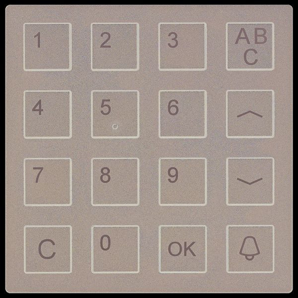 TCS Tastaturmodul Serie AMI, schwarz, AMI10300-0057