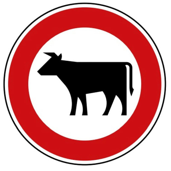 Stein HGS Verbot für Viehtrieb Nr. 257-53, 600mm /RA2/Flachform 2mm, 257-53-221