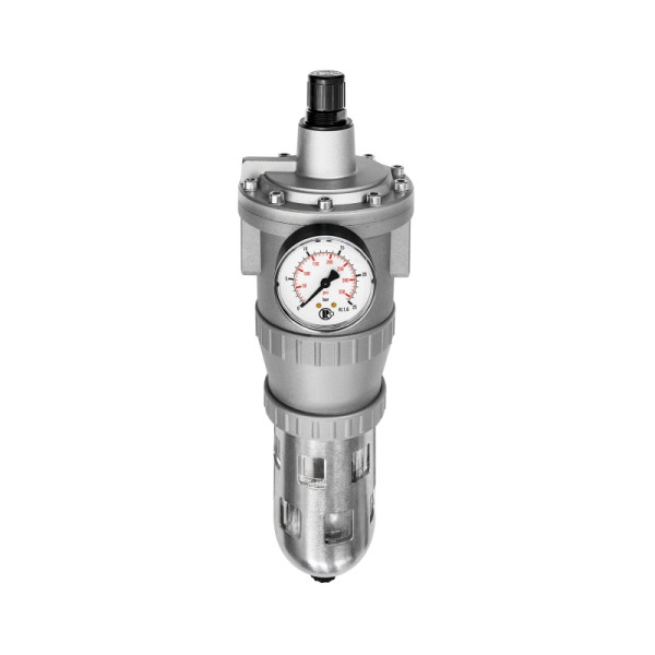 Riegler Filterregler »Standard«, PC-Behälter und Schutzkorb, BG 4, G 3/4, 174094