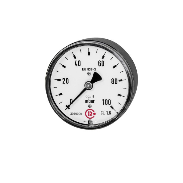 Riegler Kapselfedermanometer, G 1/4 hinten zentrisch, 0 - 100 mbar, Ø 63, 199303