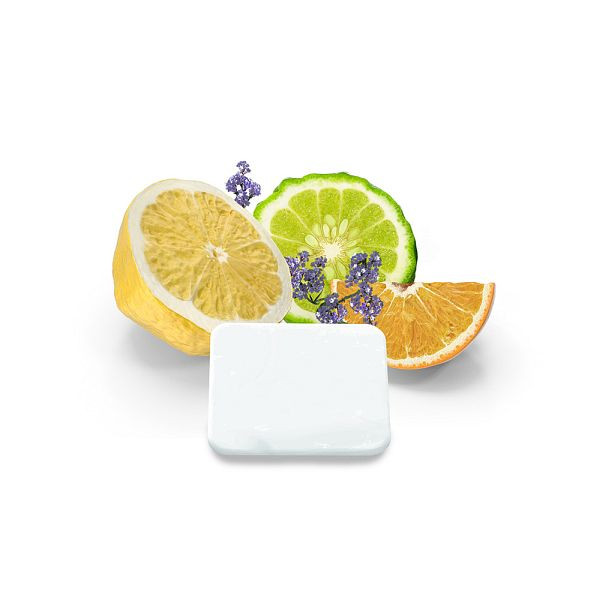 HOME DELUXE Duftplättchen Kölnisch Wasser für Ionisator LIMA, 49505