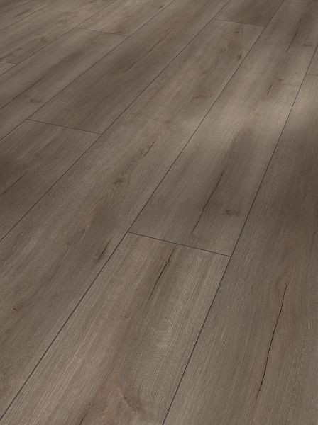 Parador Laminat Trendtime 6 Eiche Loft geräuchert weiß geölt Lebhafte Struktur 4-seitige V-Fuge, VE: 5 Stück, 1744710