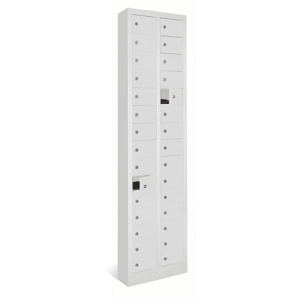 Deskin Kleinfachschrank 2 x 15 Fächer, Lichtgrau RAL 7035, 460 x 200 x 1950 mm, ohne Etikettenrahmen, 270401