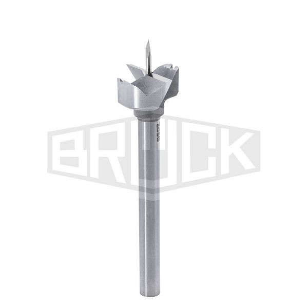 BRÜCK ZOBO Staketenbohrer SD Chromstahl, Durchmesser: 12mm, Gesamtlänge: 100mm, 762510
