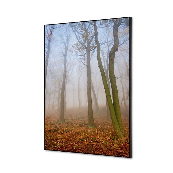 Showdown Displays Spannstoff Wanddekoration SET A2 Herbstnebel, TFR22WA2-SET-I823