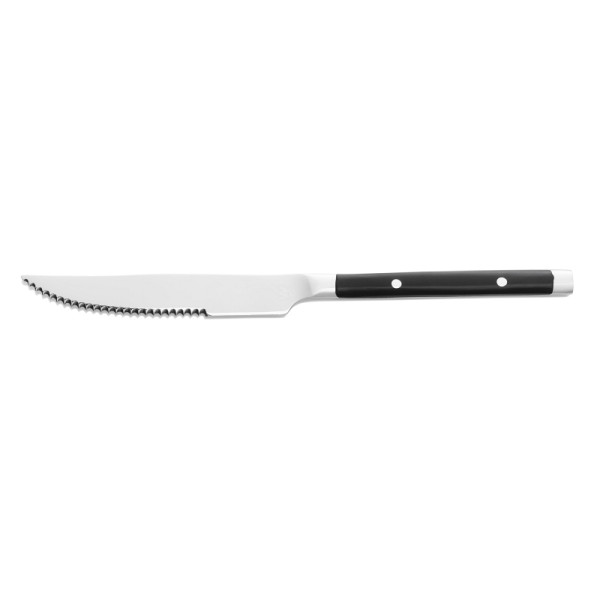WAS Steakmesser Set BISTRO TREND, 21 cm, mit Kunststoffgriff, VE: 12 Stück, Chromstahl 18/0, 548000