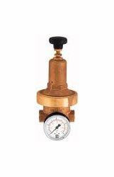 Riegler Druckregler DRV 250, Niederdruckausführung, 101435