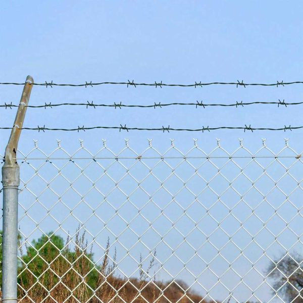 vidaXL Stacheldraht Grün 100 m Feuerverzinkt Stahl, 42010309