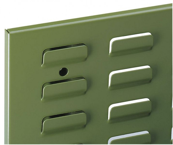 Kappes RasterPlan Schlitzplatte RAL 6011, B 500 x H 450 mm, Breitformat, 4202.00.0512