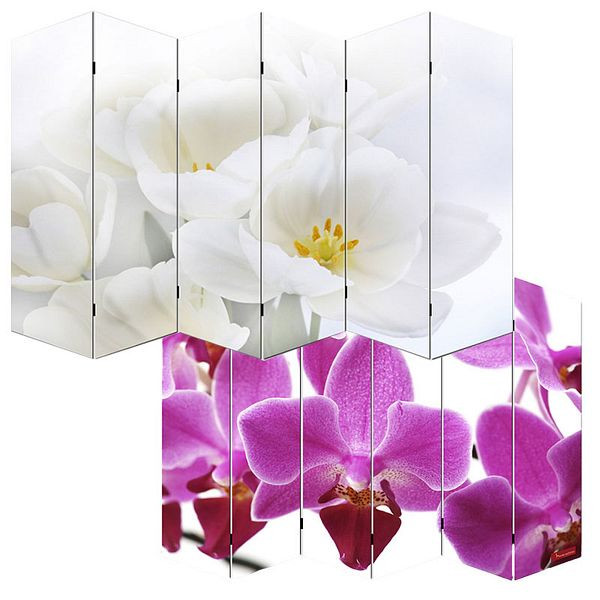 Mendler Foto-Paravent Paravent Raumteiler Trennwand M68, 180x240cm, Orchidee, 19012