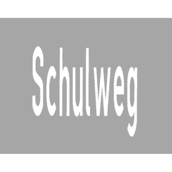 Stein HGS Straßenmarkierung aus Thermoplastik -Schulweg-, 31359