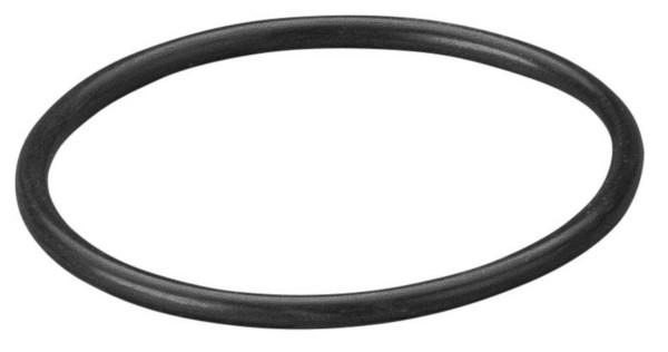 REMS O-Ring, Maße (LxBxH): 32 x 32 x 2 mm, 060299, 4039976006422
