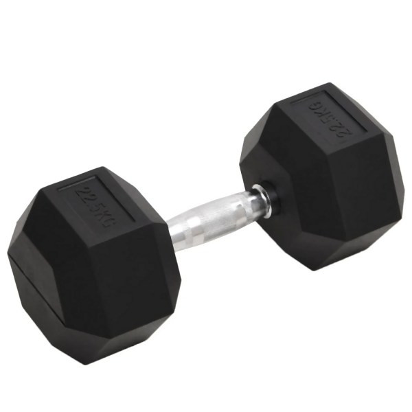 vidaXL Kurzhantel 22,5 kg Gusseisen, 93609, 8720287155867
