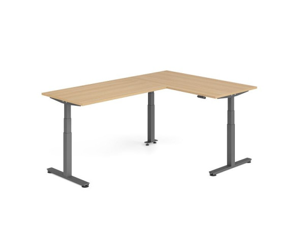 Hammerbacher Sitz-Steh-Winkeltisch 240x160cm Eiche/Graphit, VXDSMW1616/E/G