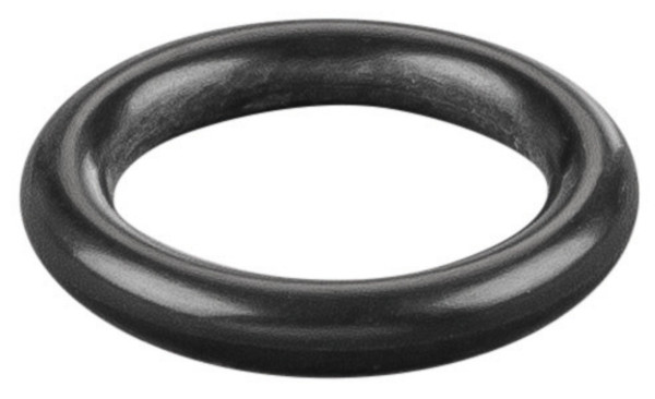 REMS O-Ring, Maße (LxBxH): 20 x 20 x 2 mm, Gewicht: 0,0002 kg, 060005