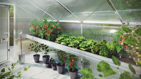 KGT Pflanzwanne Nelke Typ III, für Gewächshaus, 23323000