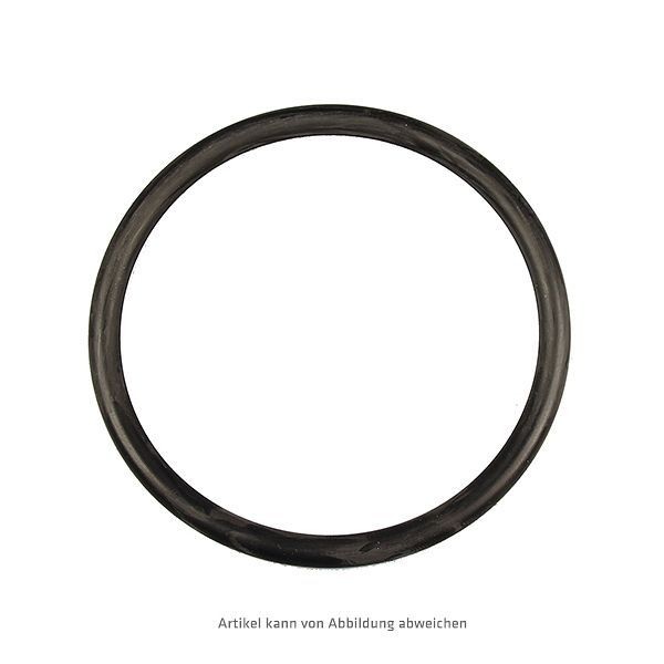 BEULCO O-Ring (EPDM) 108 x 8 mm, 349739