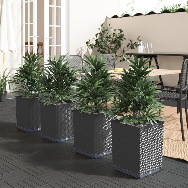 vidaXL Pflanzkübel 4 Stück Schwarz 30x30x37 cm Polypropylen, 364187