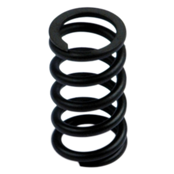 Metal Work Feder für Druck- und Filterregler »SYNTESI«, BG 1, 0 - 12 bar, 145636