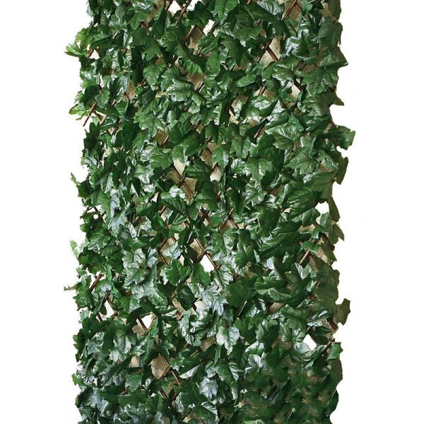 NOOR Rankhecke Weide mit Laub Laubhecke Spalier 1 x 2m, 15421