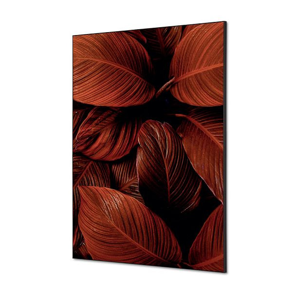 Showdown Displays Spannstoff Wanddekoration SET A1 Botanische Blätter Rot, TFR22WA1-SET-I19