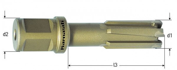 Karnasch Hartmetall-bestückter Kernbohrer, Weldonschaft 19 mm, Nutzlänge 55 mm, Rail-Line55 d=20mm, 201309020