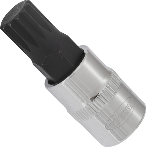 VIGOR Schraubendreher-Einsatz, Vierkant hohl 10 mm (3/8 Zoll), Innen Vielzahn Profil XZN, M12, Länge: 48 mm, für Handbetätigung, V6111